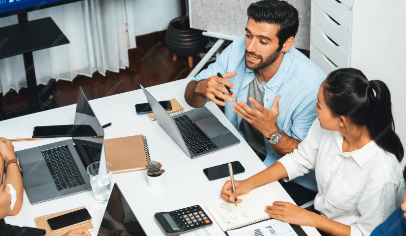 Software Consultancy